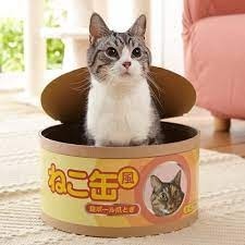 Cat in tin